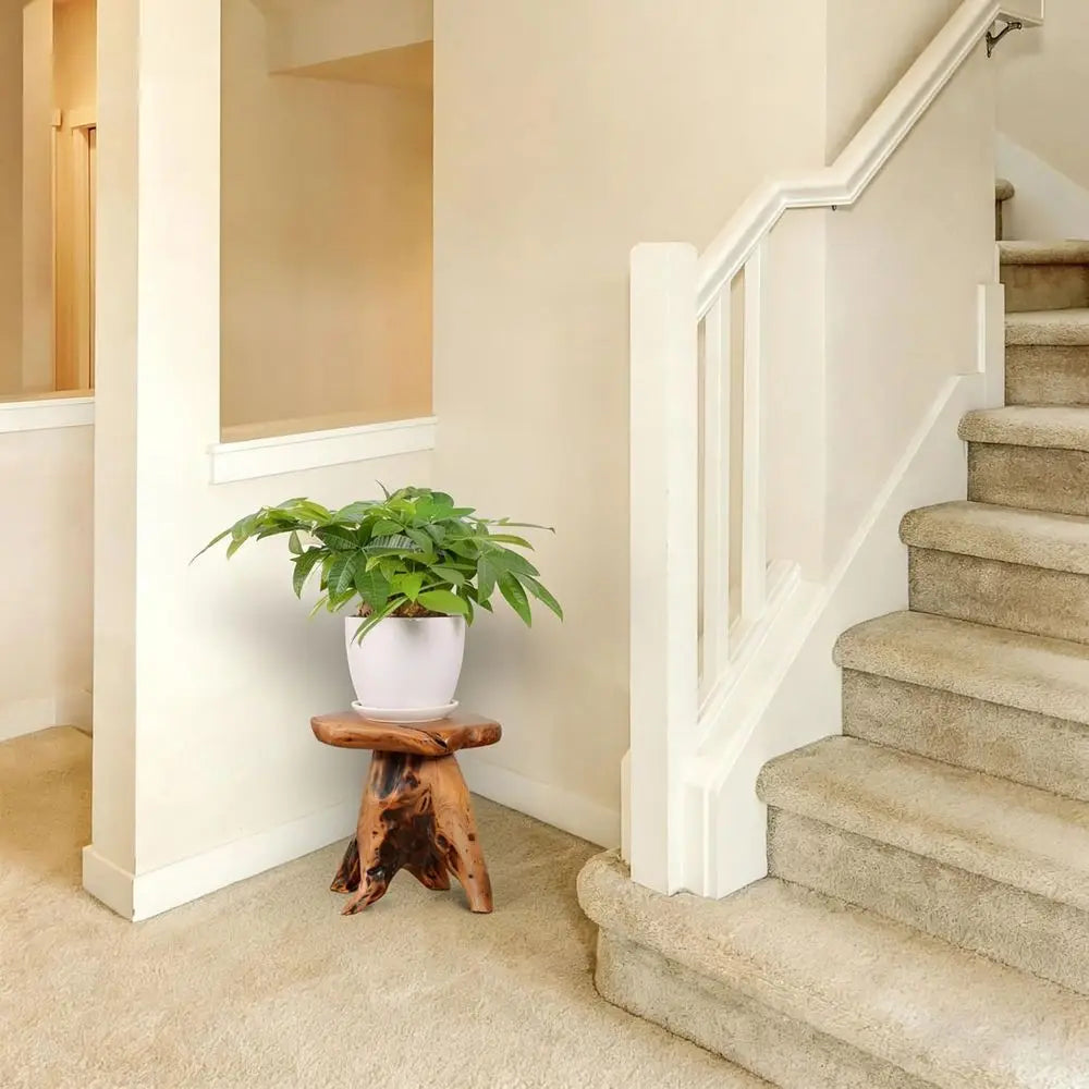 14.5 Live Edge Natural Tree Stump Side Table, Unique Rustic End Table, Outdoor Patio Furniture