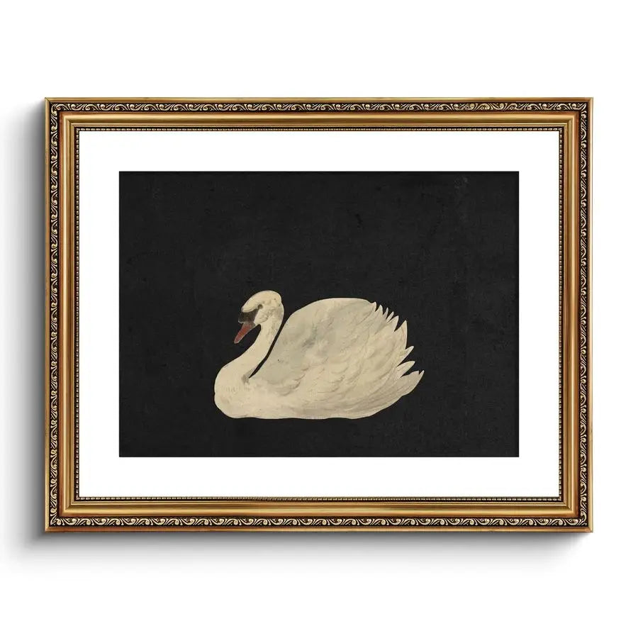 Gold Framed Swan Wall Art Canvas Print Vintage Home Decor