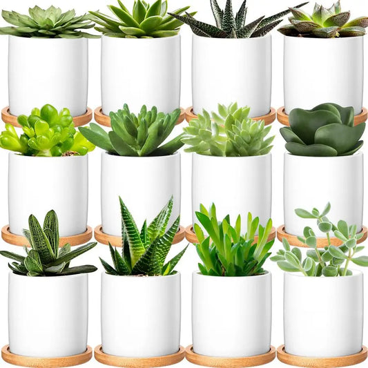 12 Pack Ceramic Succulent Pots With Bamboo Tray And Drainage Hole