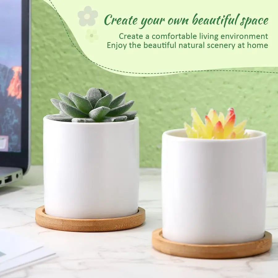 12 Pack Ceramic Succulent Pots With Bamboo Tray And Drainage Hole