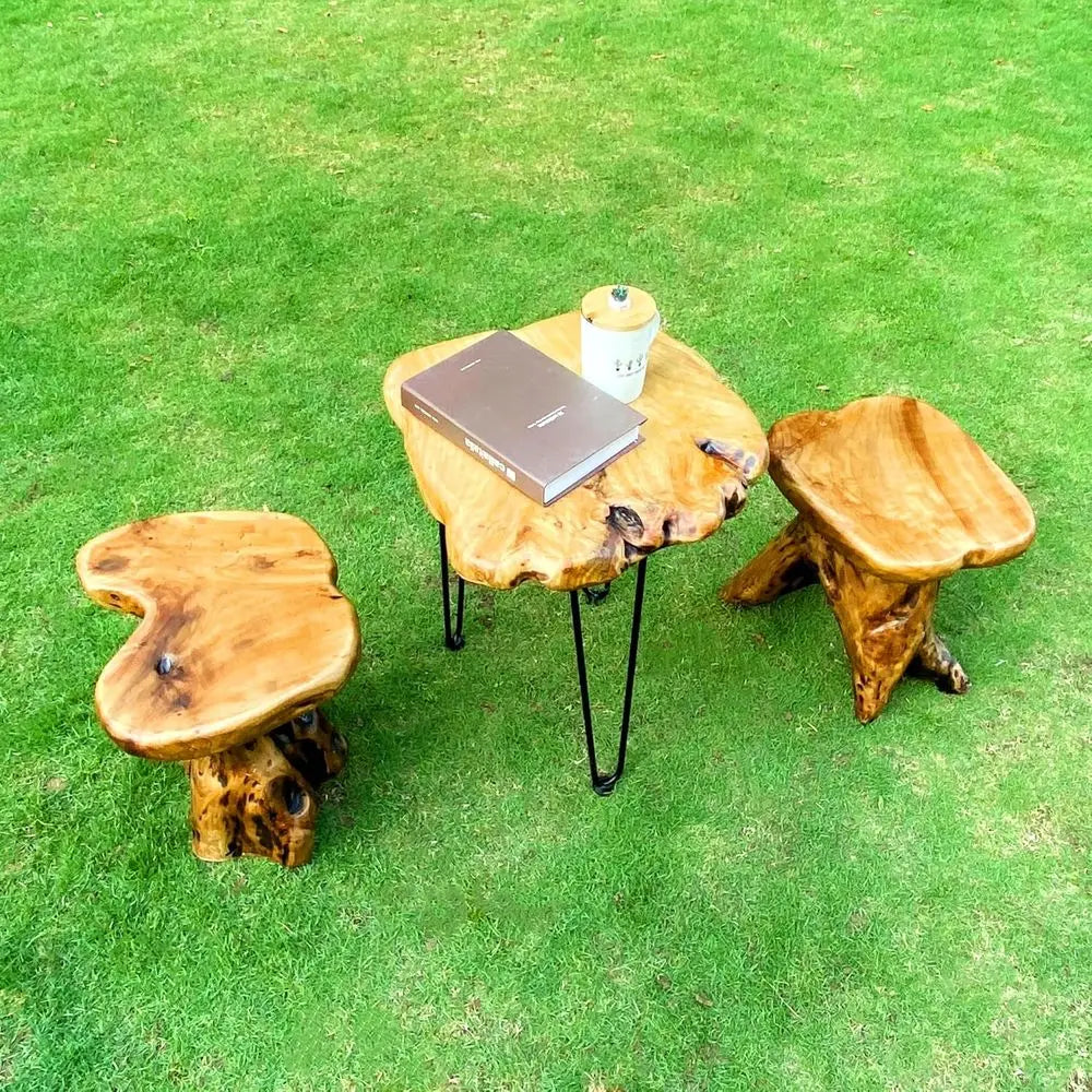 14.5 Live Edge Natural Tree Stump Side Table, Unique Rustic End Table, Outdoor Patio Furniture