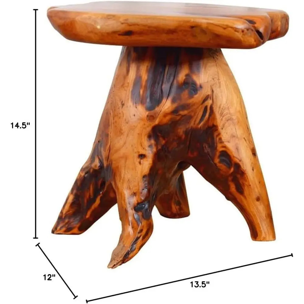 14.5 Live Edge Natural Tree Stump Side Table, Unique Rustic End Table, Outdoor Patio Furniture
