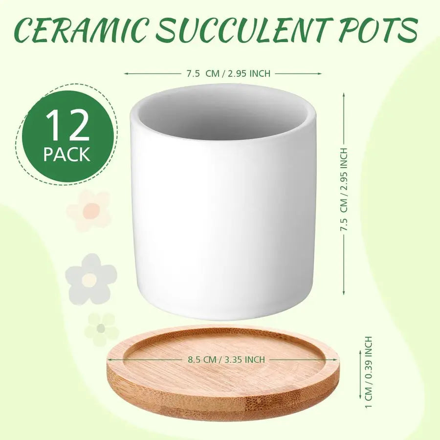 12 Pack Ceramic Succulent Pots With Bamboo Tray And Drainage Hole